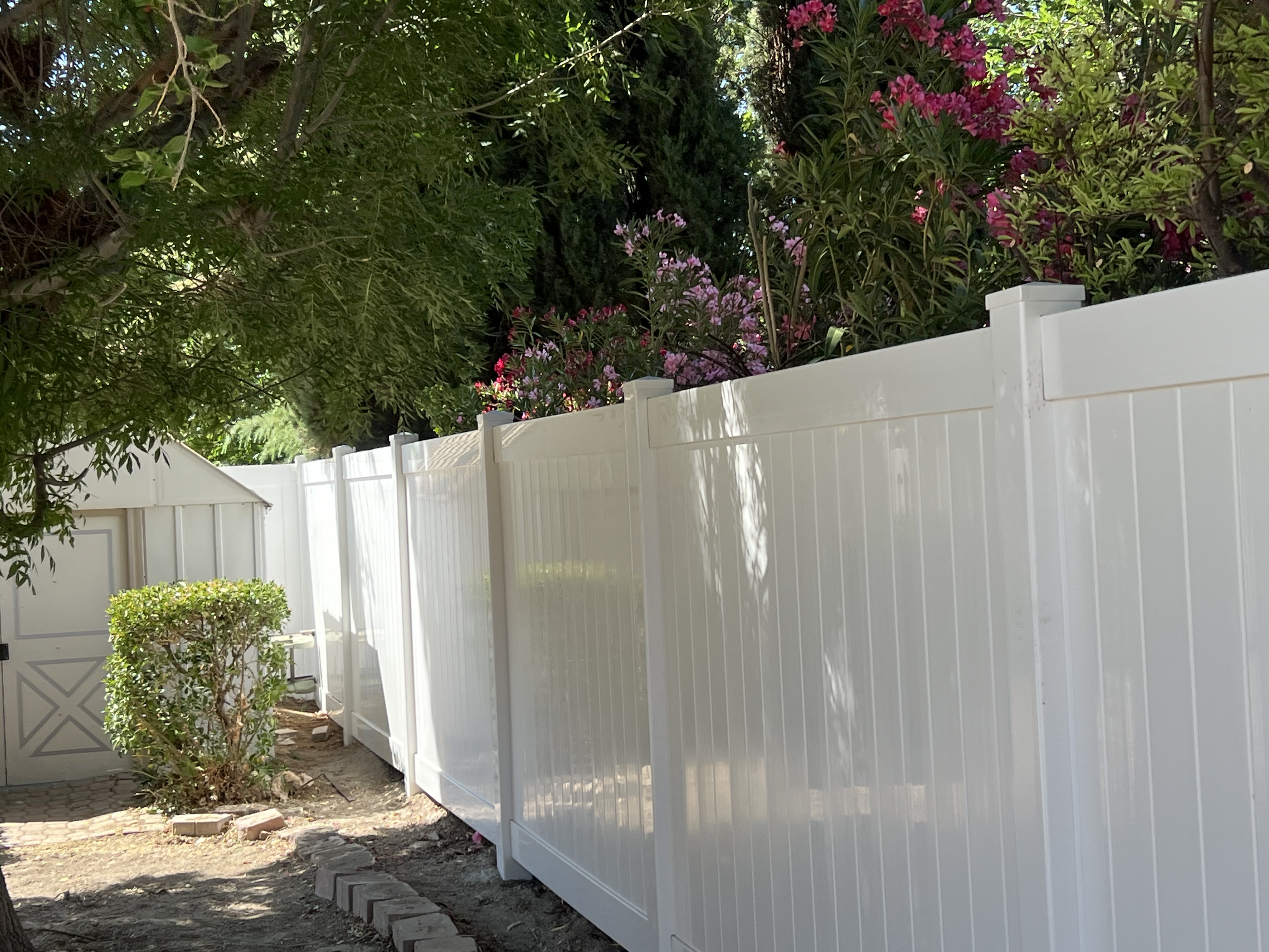 White vinyl privacy fence with gate — lush garden and flowering shrubs backdrop