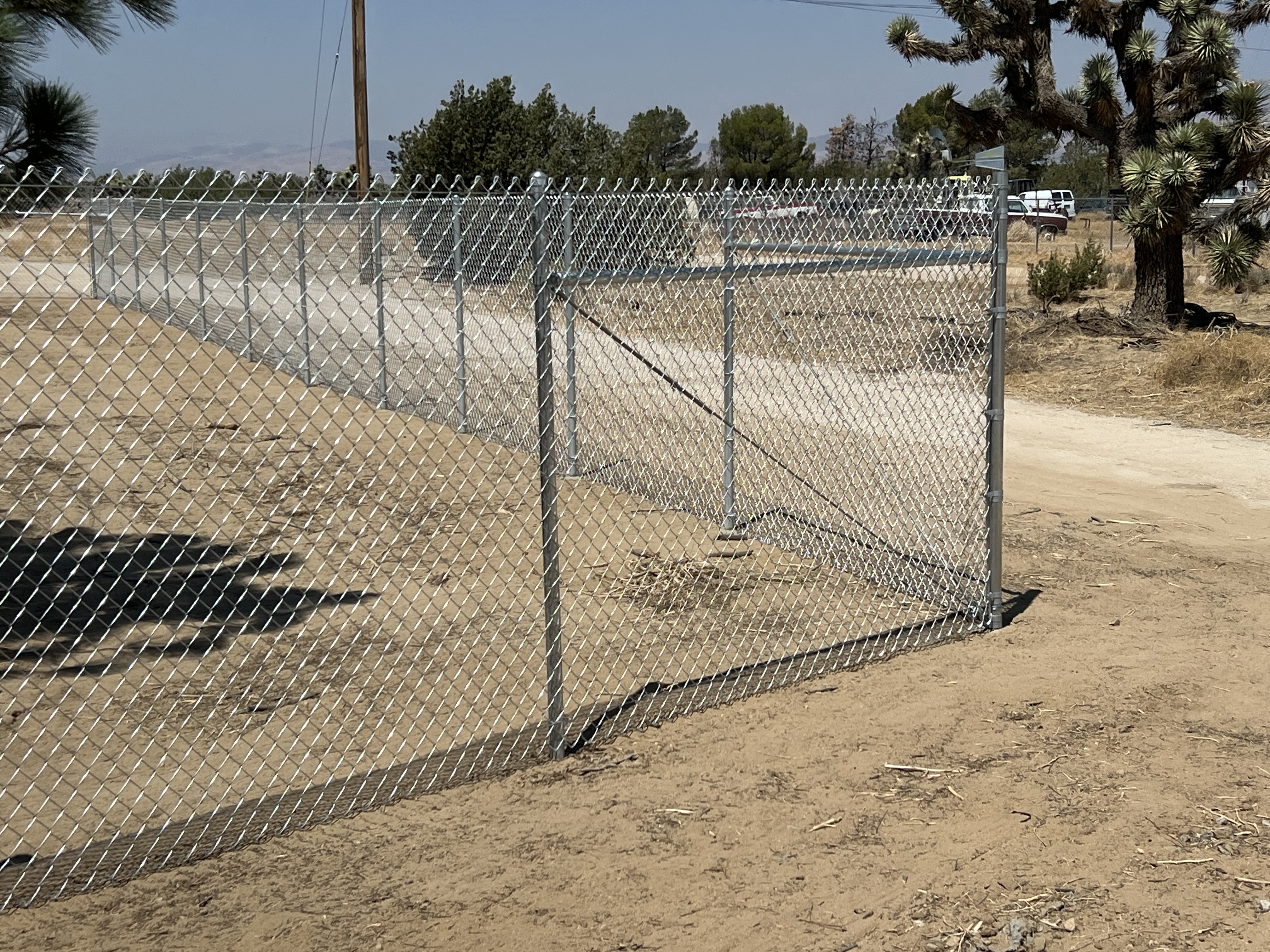 Galvanized chain-link fence with barbed wire top — desert terrain with Joshua trees