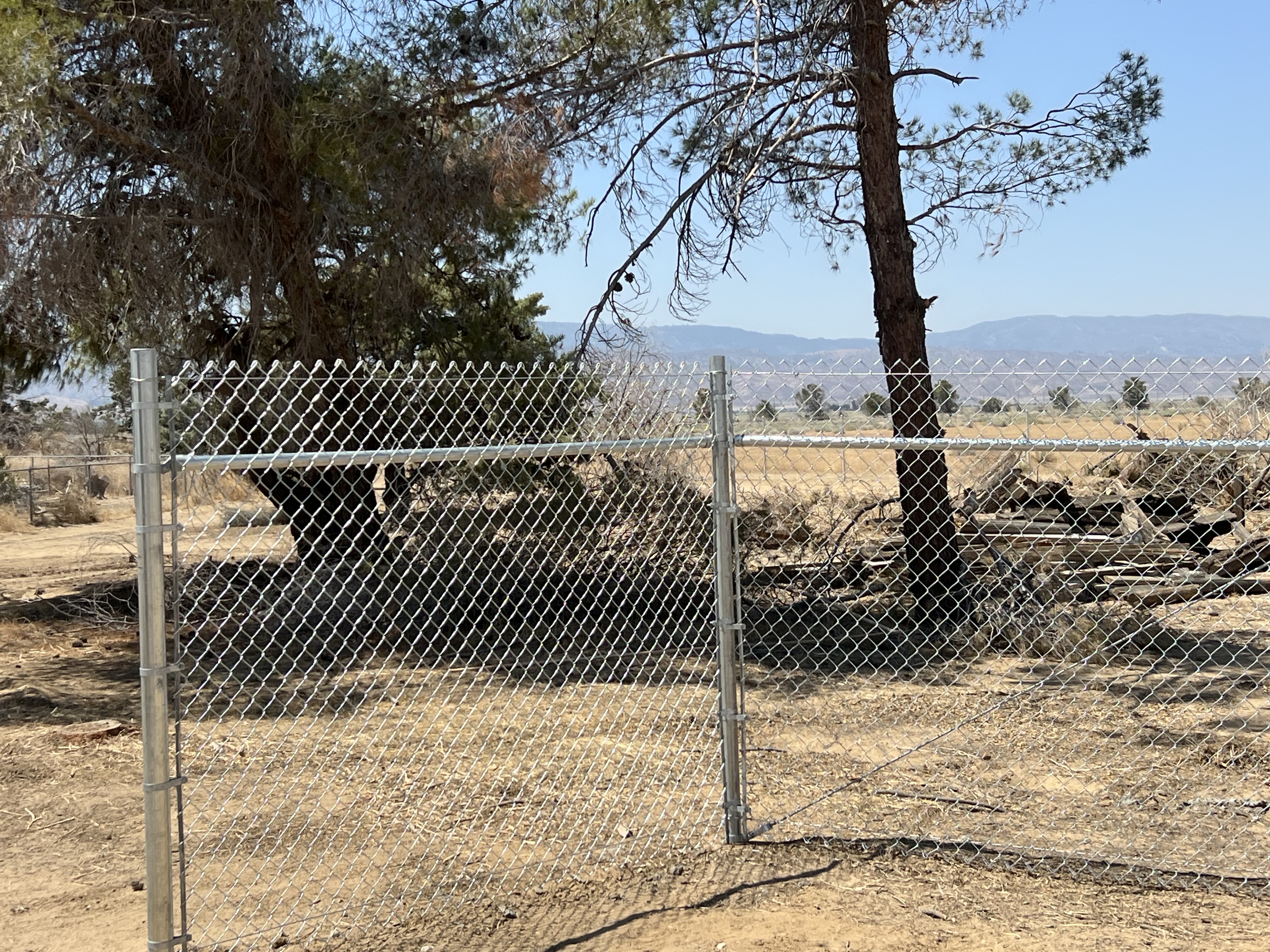 Chain-link gate open — residential property with work trucks visible